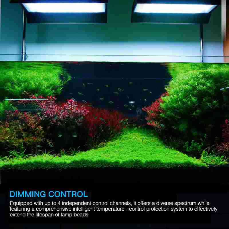 Planted Tank Angelfish Light 45W 85W - Image 3